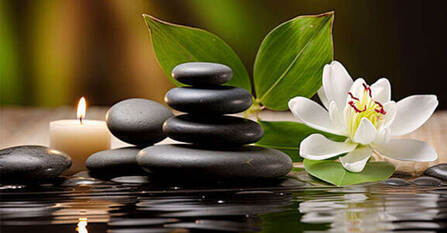 Prix fous -60% sur notre collection 'Zen thérapie' jusqu'au 31.03.2026. Profitez-en !